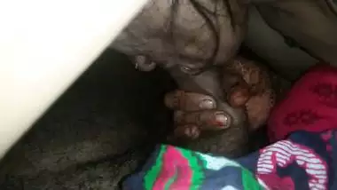 Rajastani blowjob sex MMS video online